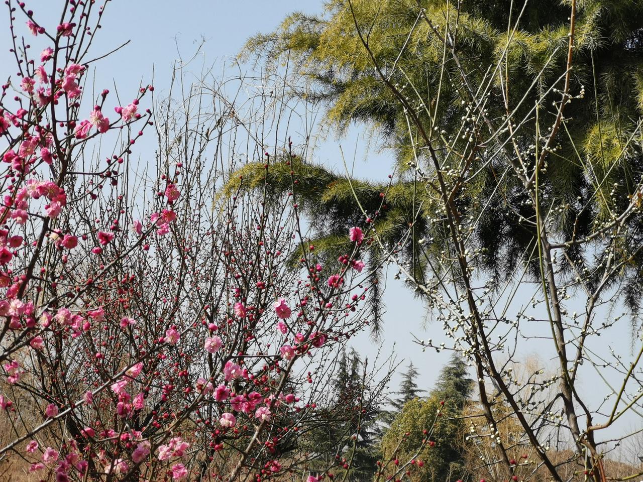 原来最好的时光，从来都不是忙忙碌碌，而是能自由支配每一分每一秒🌿
退休生活