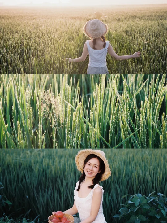 夏天是不是快结束啦