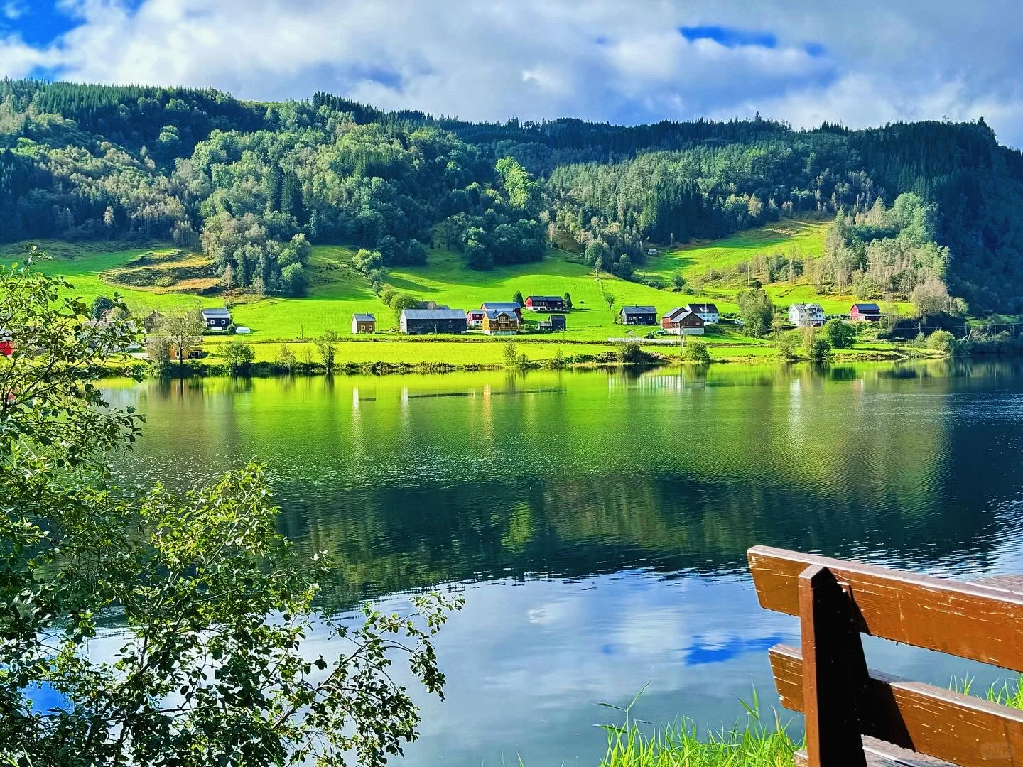 绝美挪威峡湾 | 自驾5小时🏞️变换的四季