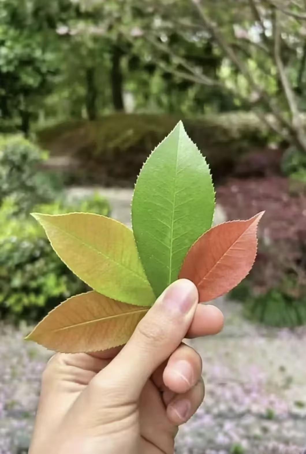 这个图片怎么有声音呀
还是我们的童年有声音了
CCTV14每天必看，加菲猫，蓝精