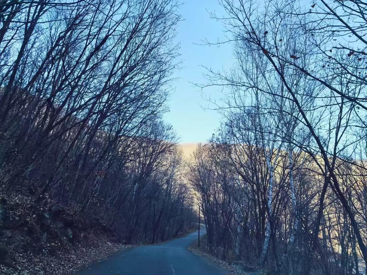 晨恩的爷爷奶奶吵架，爷爷生气地骑走了平时用来运货的小三轮，留下奶奶一个人在小卖部