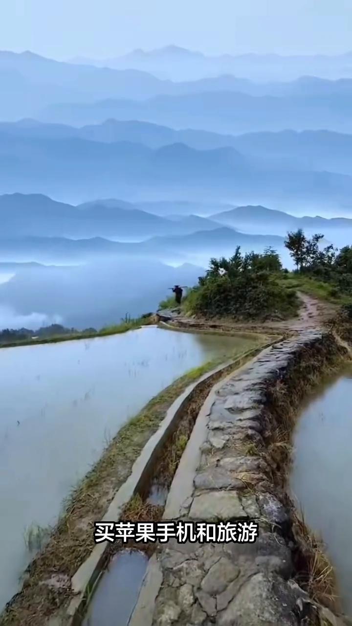 高考结束以后才知道父母拿不出1万多元买苹果手机和旅游，诈出了多少病态巨婴。你只是
