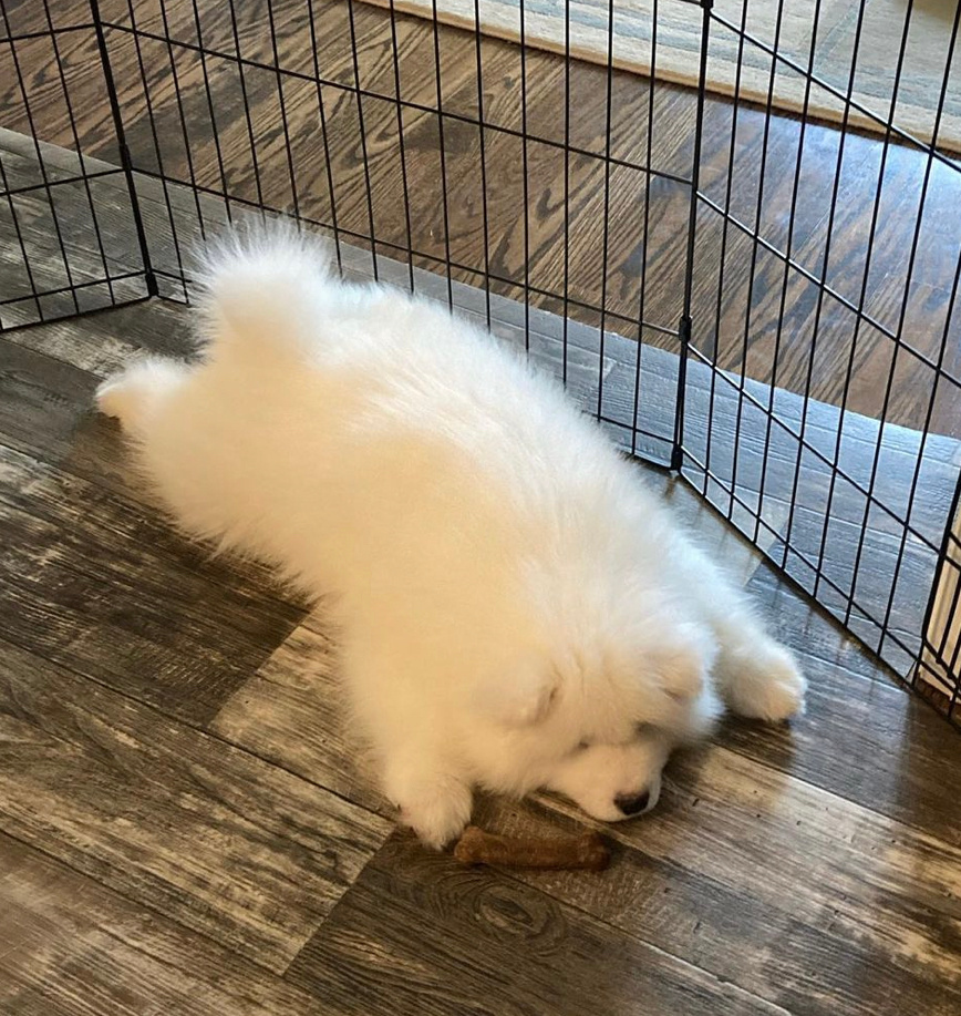 哎哟喂，被空气绊倒了，需要亲亲才能起来耶 