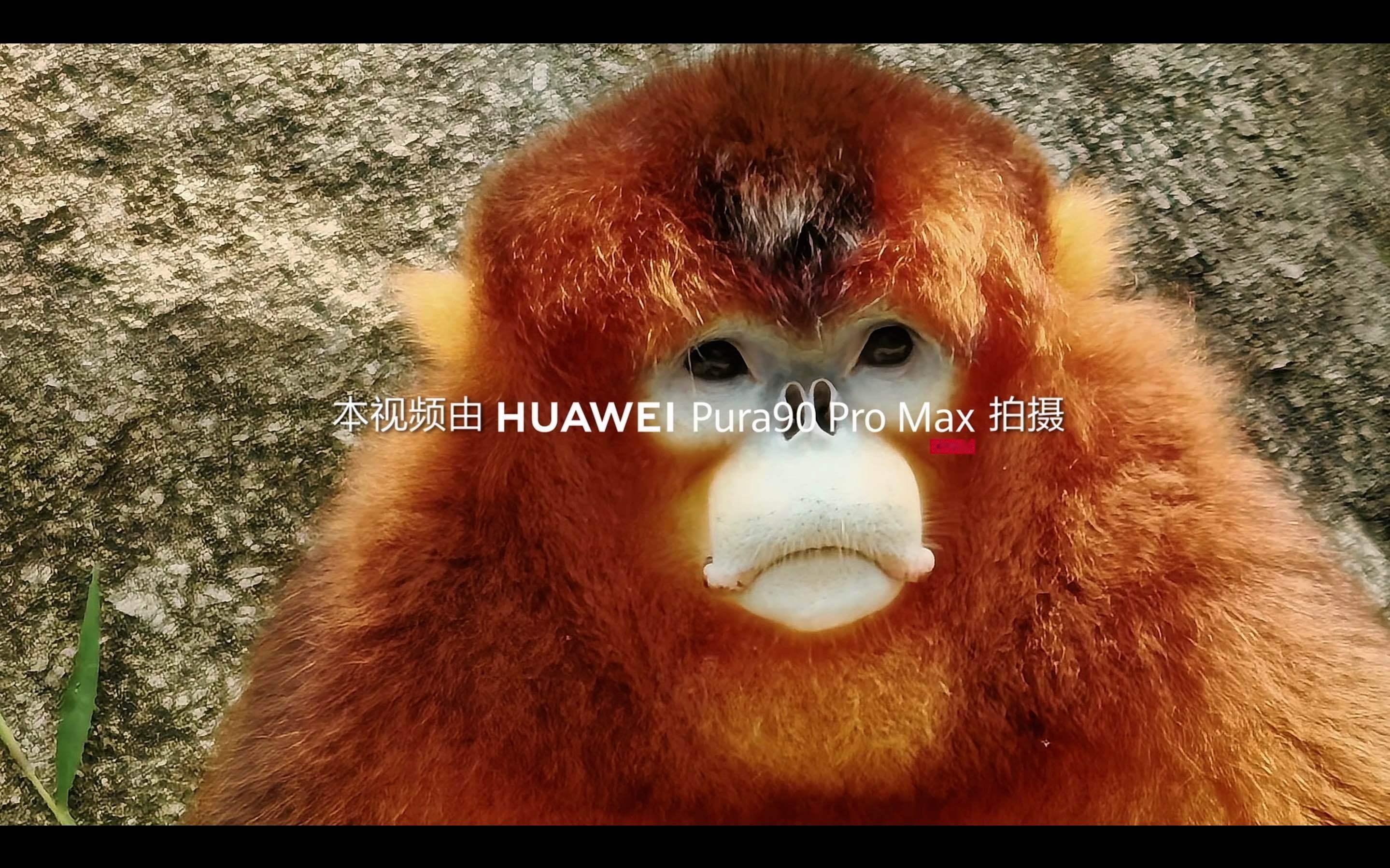 华为Pura90ProMax搭载2亿像素长焦今日华为Pura 90影像相关物料出