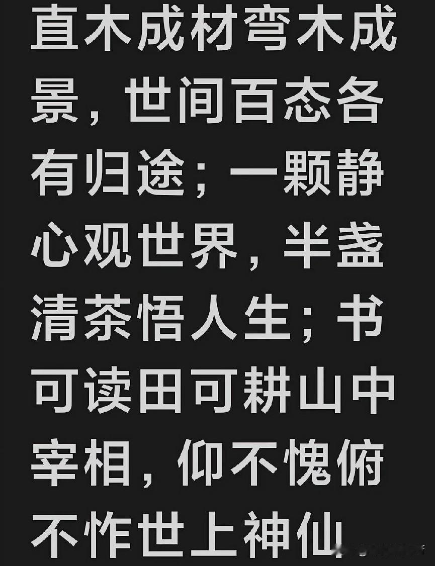 今天学到的金句