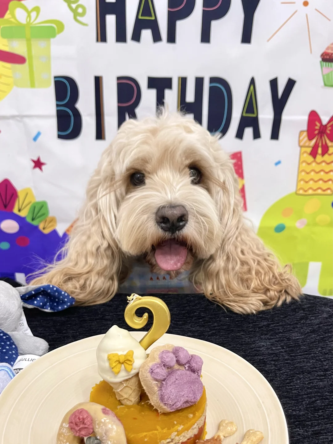 饼干两岁生日快乐鸭！