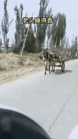 一头驴子拉着一辆木板车，悠哉悠哉的走在路上，车上一位老汉睡的正香。不需要芯片，不