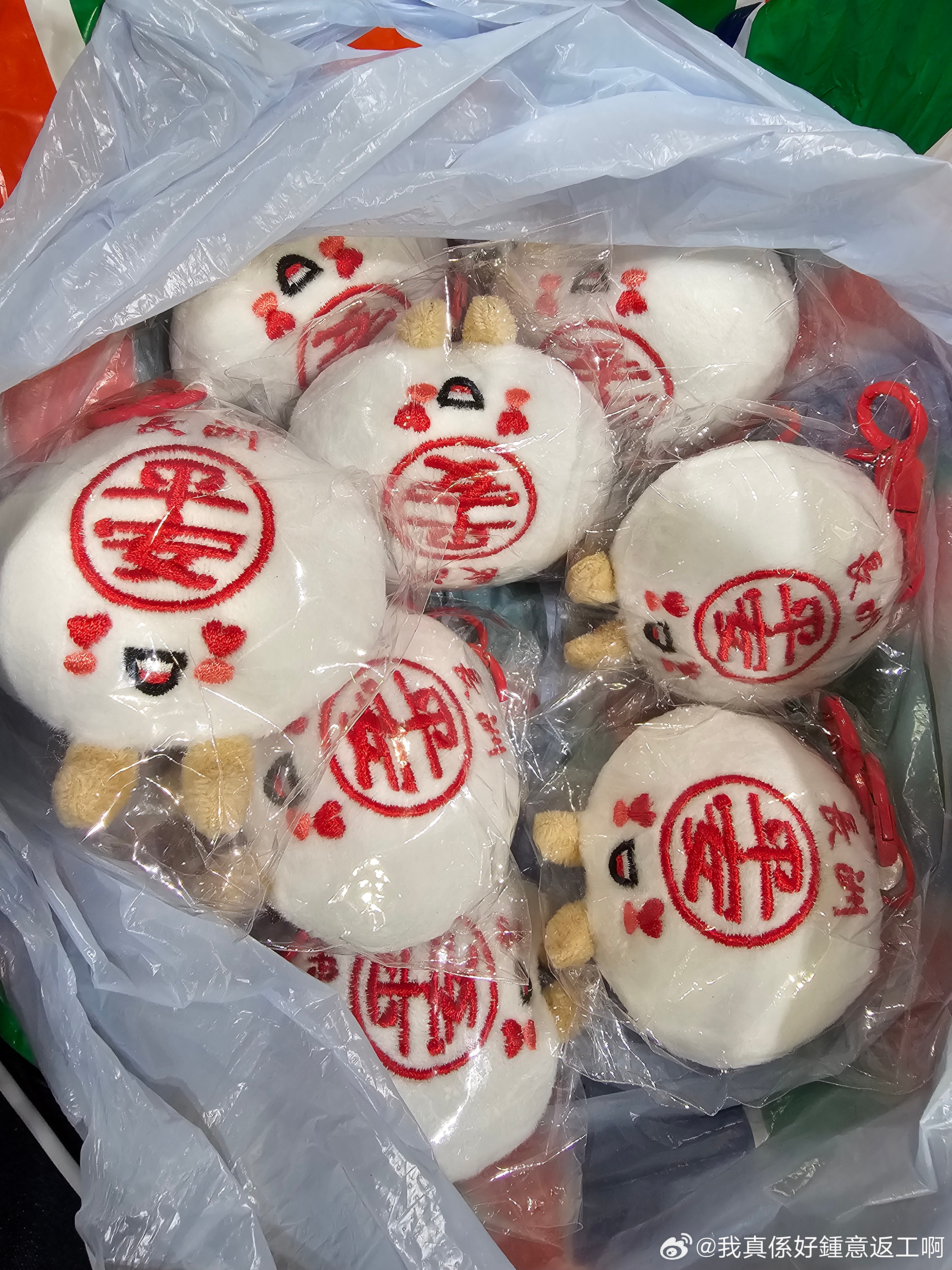 工展會收穫到一堆長洲特產 