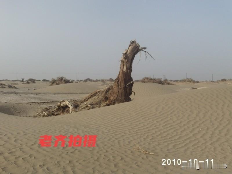 苦不苦，想想长征两万五，累不累，看看人家勘探队。
这是笔者2010-2022年前