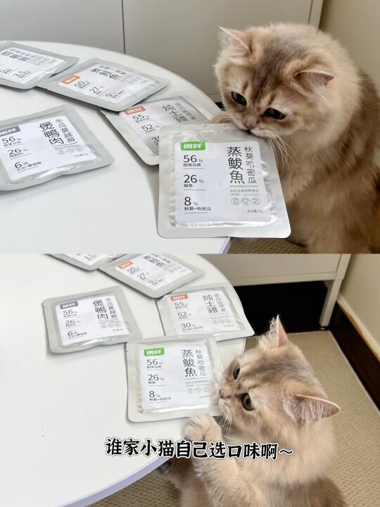 拦不住啦！！好吃到控不住猫的猫饭！！！