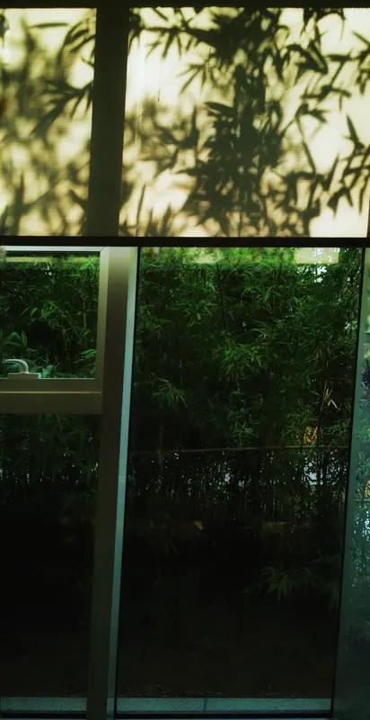 上联：月下荷香随梦远；
下联：窗前竹影伴情长。