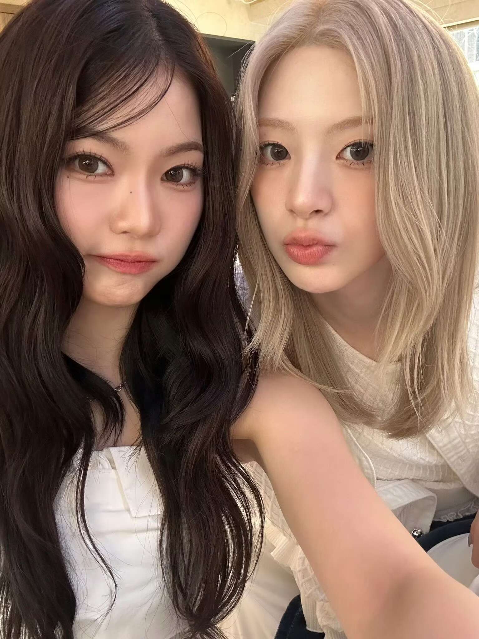 🦊🐱 