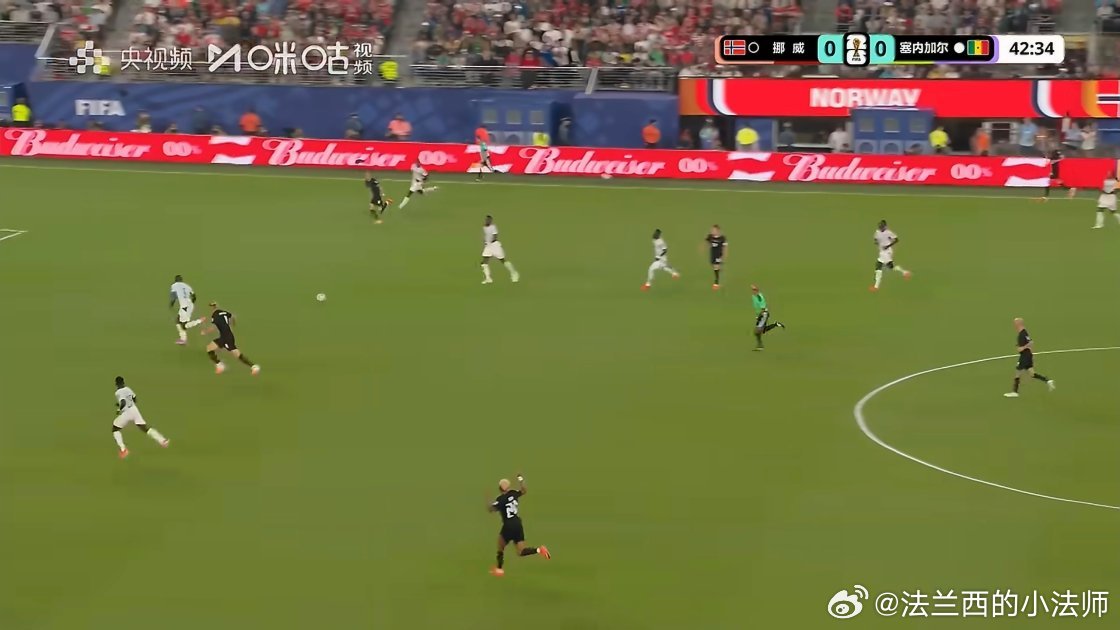 挪威vs塞内加尔 挪威一票白人穿着黑球衣，塞内加尔全是黑人穿着白球衣。远远看还以