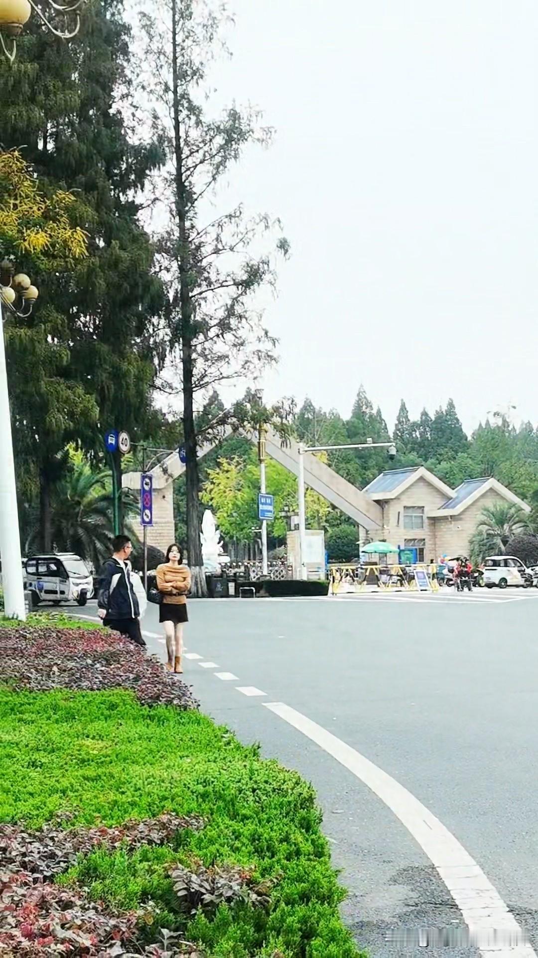 我们退休了，朋友不需要多，有几个真诚的就可以了。

昨天我的一个朋友微信我说，她