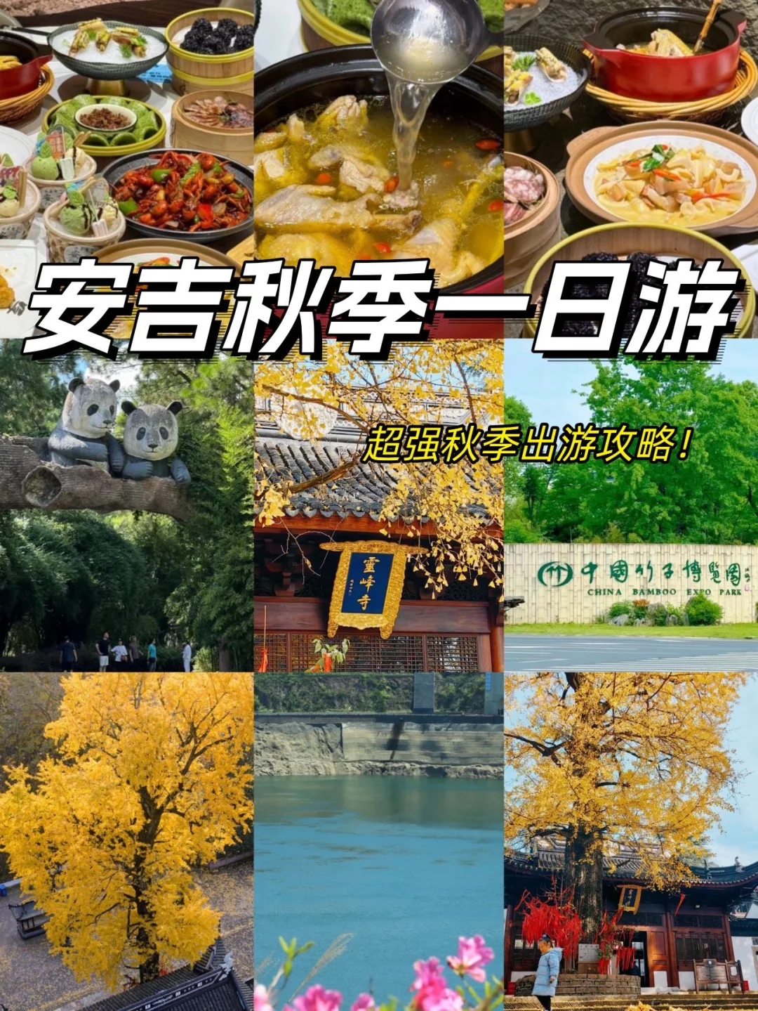 安吉一日游含时间路线📍(秋季版)