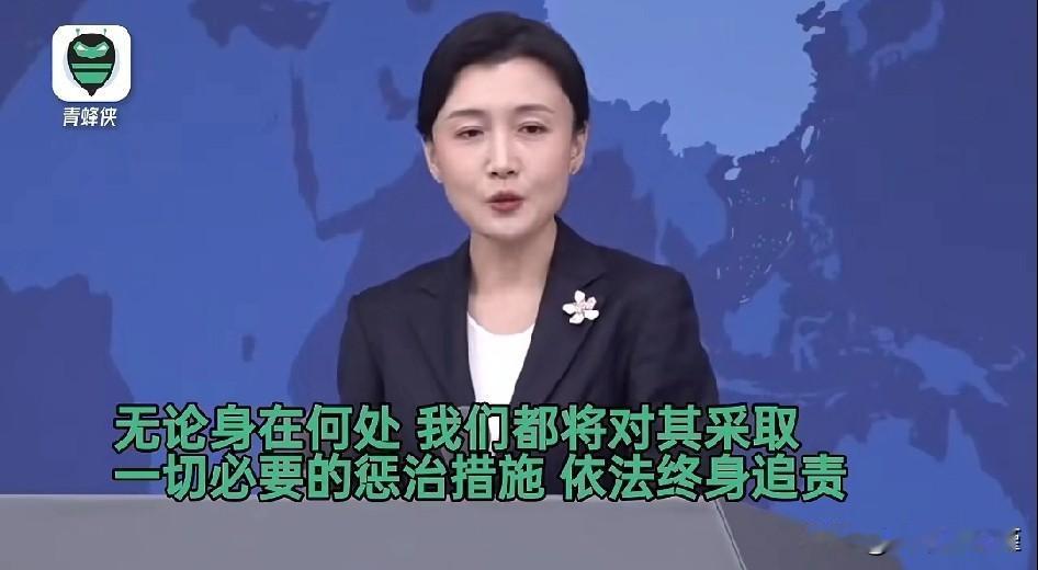 国台办新发言人张晗女士，语速不紧不慢的表达了国家对于“台独分子”的相关政策。
