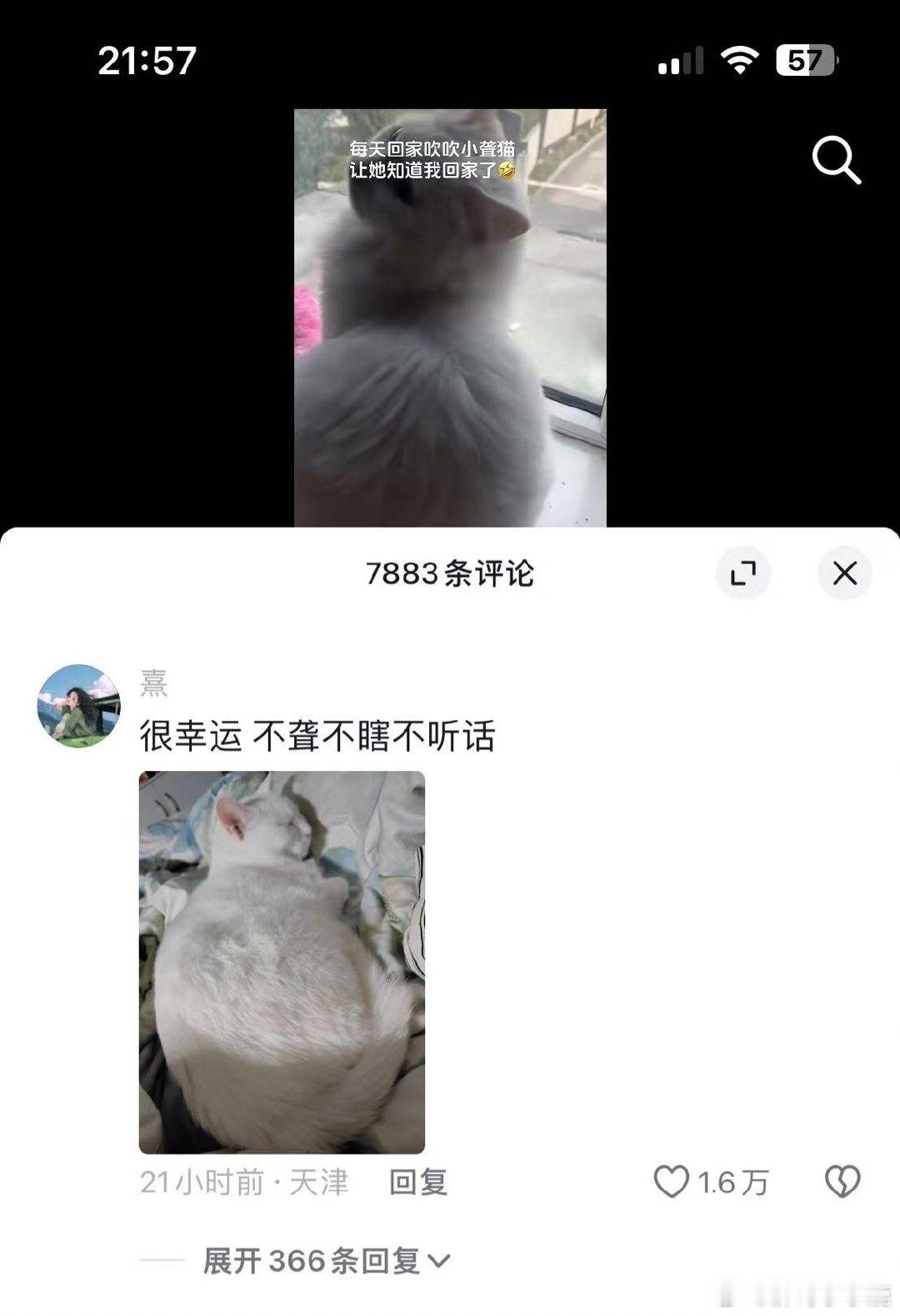 #民间艺术观察# ​​​
