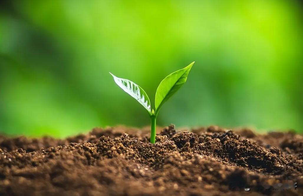 便宜不是竞争优势
大哥说便宜不是竞争优势
便宜代表你除了便宜没有任何竞争优势
各