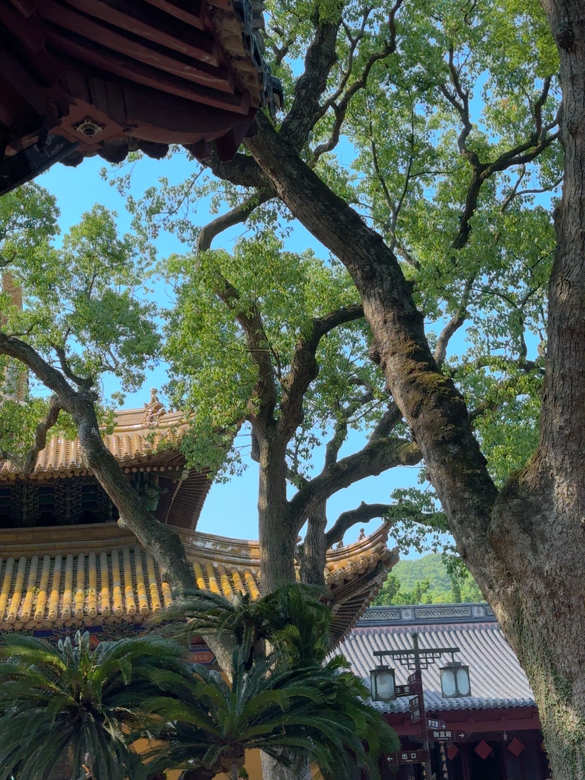 行 舟山·普陀山风景名胜区