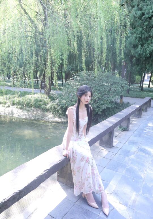 海棠花开的正好