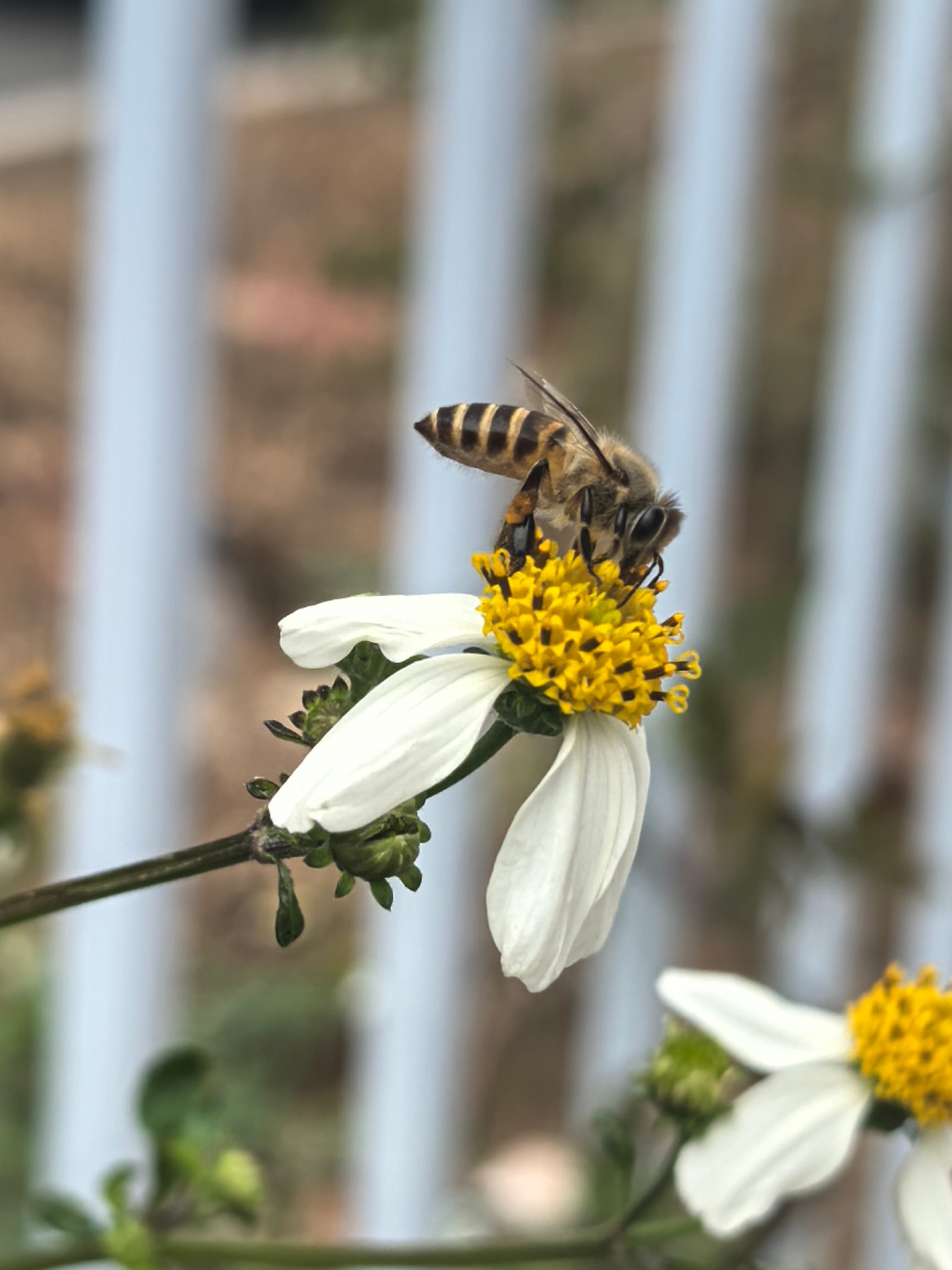 一切不好的，都留在这个11月末吧！