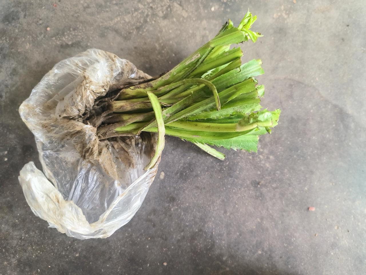 小事见本心，诚信最动人——收到补差应该的！
 
生活里从没有惊天动地的大事，往往