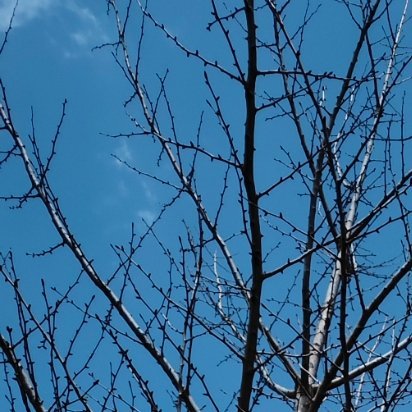 每日一善[超话]每日一善 人最宝贵的是生命，生命对人来说只有一次。人的一生应当这