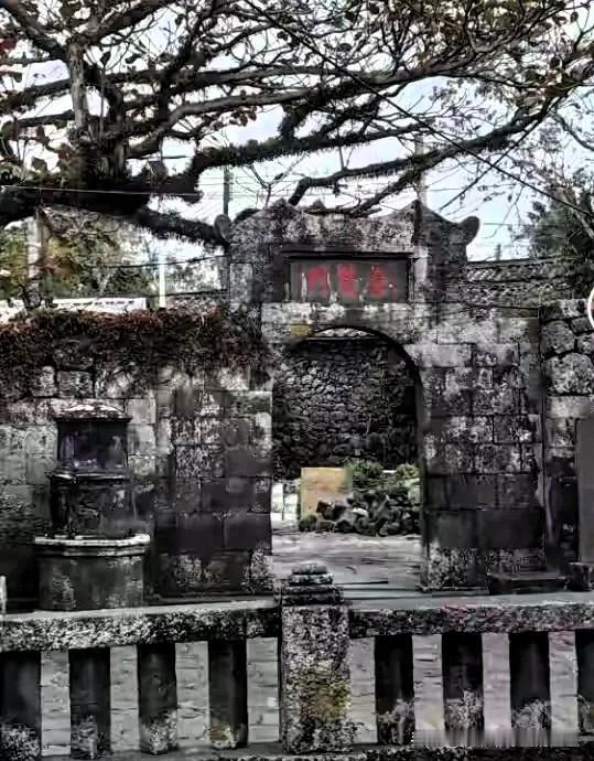 沈阳音乐学院一对教授夫妻，昨天突发意外走了。丈夫林大公66岁，妻子白丽萍63岁，