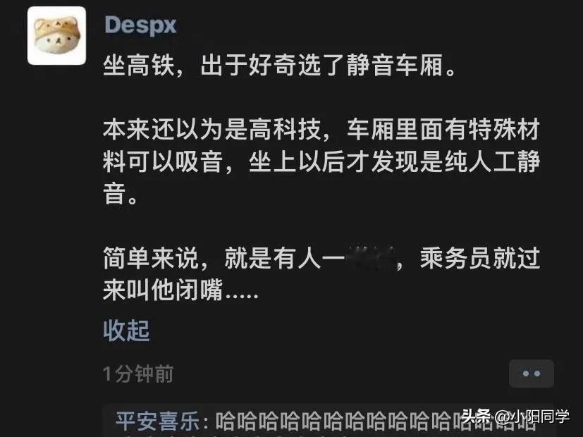 近日，有网友称自己出于好奇选择了高铁静音车厢，本以为属于高科技，等到坐进去后才发