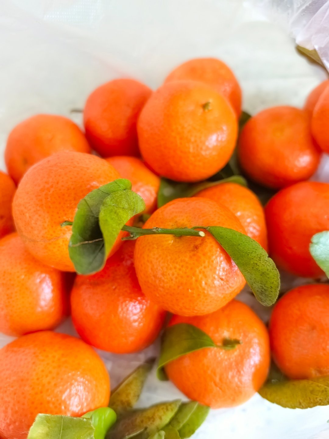 精品的小砂糖橘真不错还挺甜的呢～ 