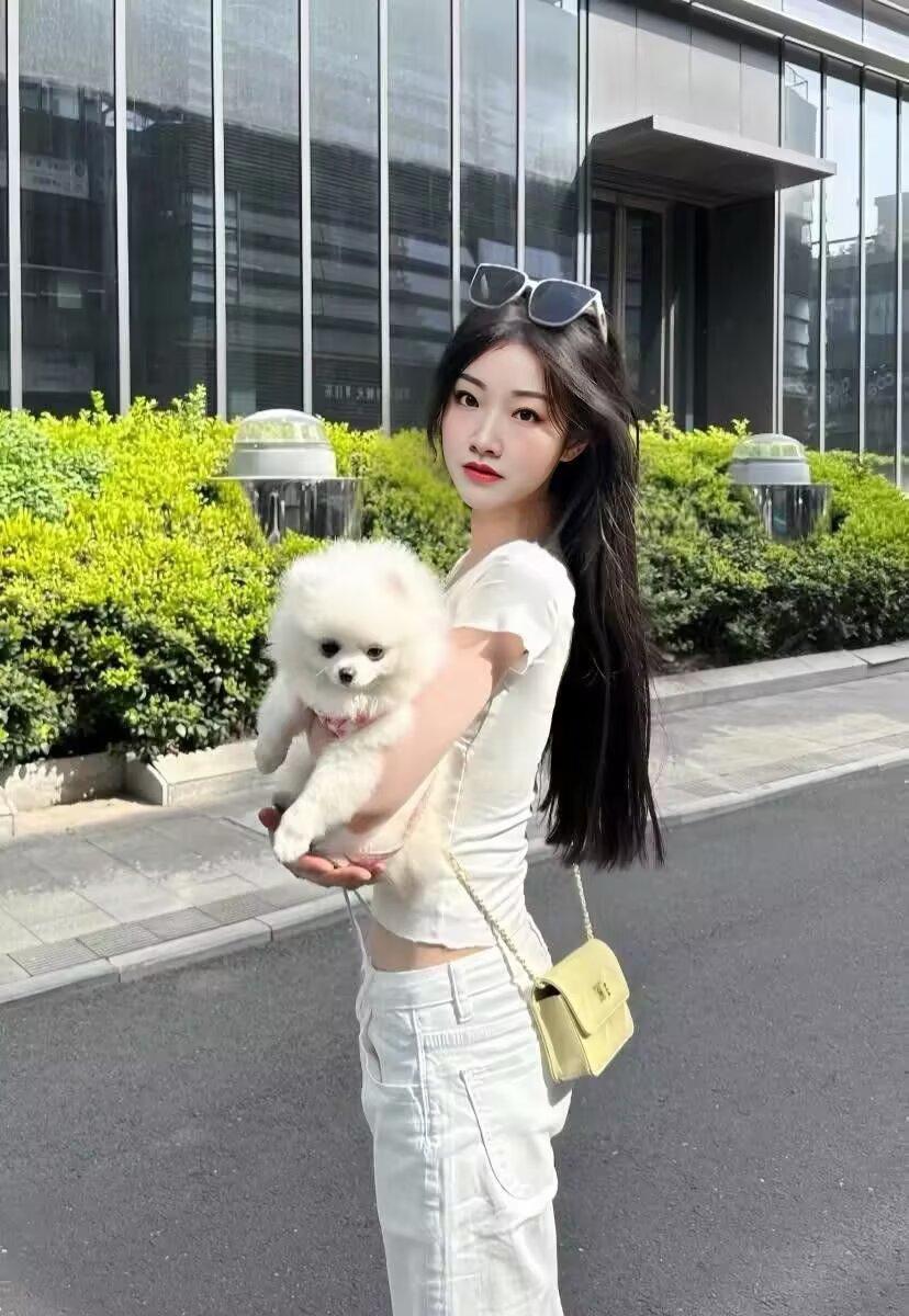 阳光明媚的一天，与毛茸茸的小狗一起享受美好时光🌞🐶