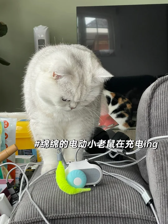 等待小老鼠充电的时光是漫长的