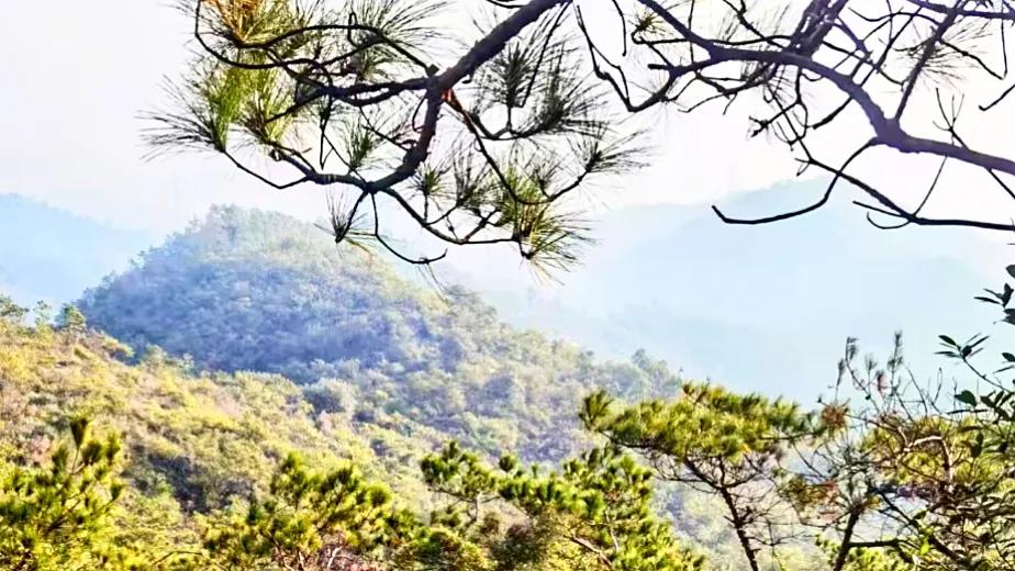 新会掠影：圭峰山⛰️