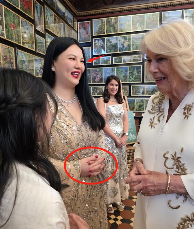 这一次，连“贵妇人设”都救不了李湘和王诗龄：

起因是5月14日，李湘带着女儿王