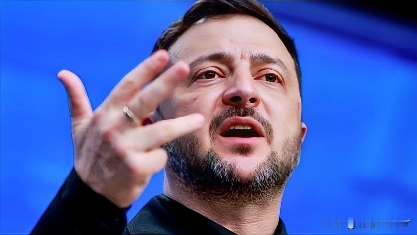 12月24日，乌克兰总统泽连斯基透露了美乌谈判期间就解决乌克兰冲突和平计划20个