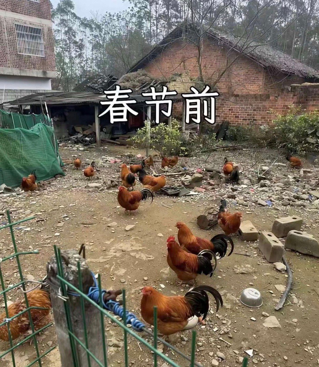 看到这一幕你悟出了什么？ 