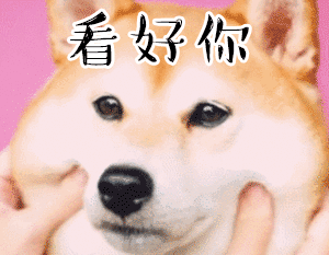 拿错狗的饭盒去上班太可恶了 那狗狗吃什么 