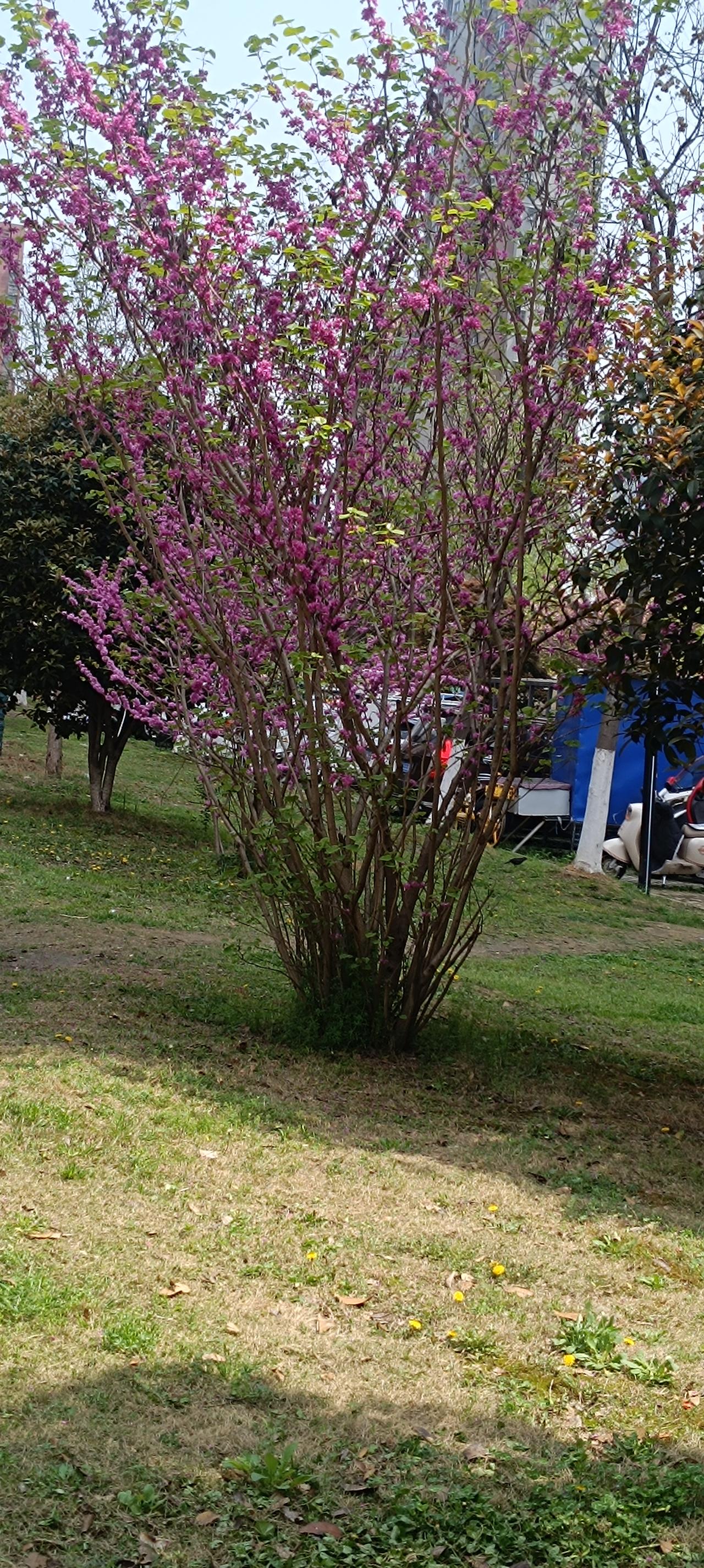 网购衣服时，看做工确实是判断好坏的关键。看反面有没有多余线头，这招超实用。之前我