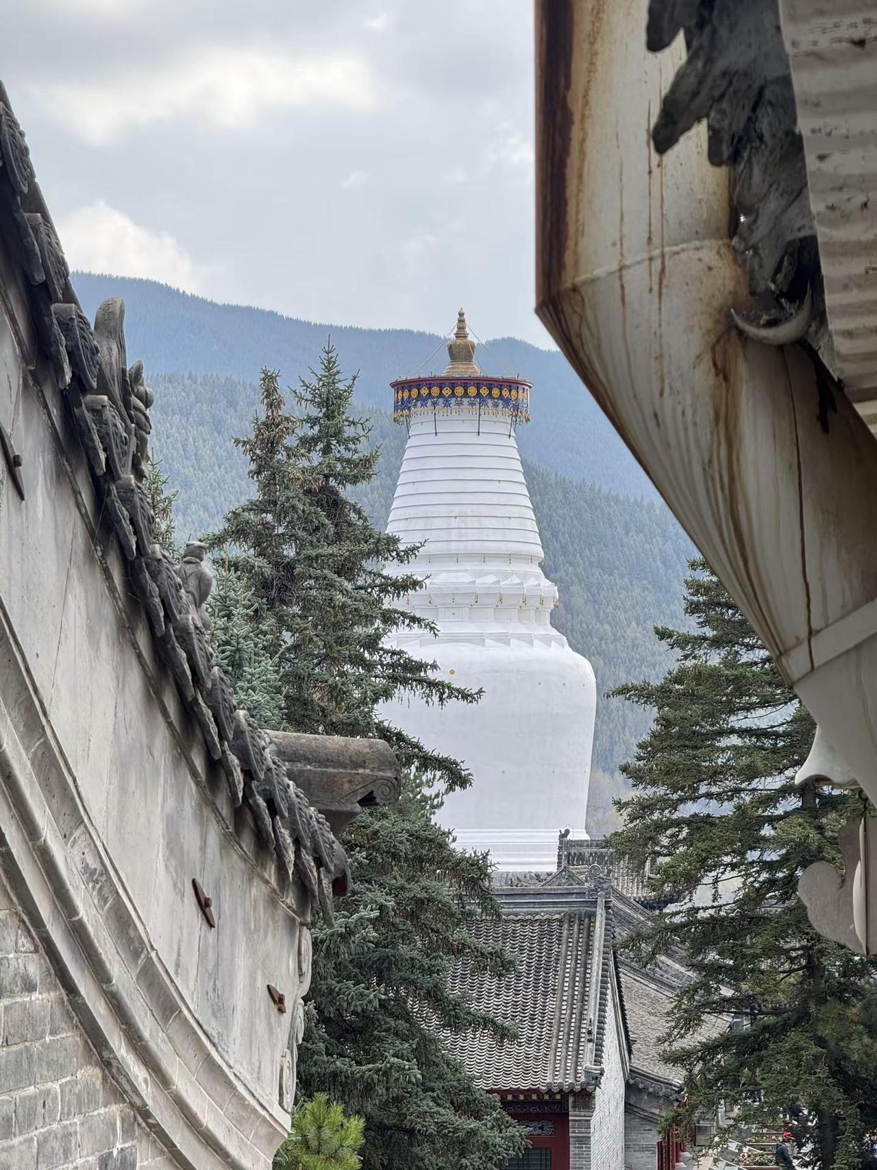 📍 𝐗𝐢𝐧 𝐳𝐡𝐨𝐮忻州·五台山 听梵音 闻香火 所求皆所愿 所