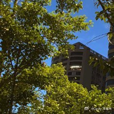 每日一善 阳光信用暮色入夜，灯火渐明。以诚守心，向善笃行，积攒阳光信用，步履向阳