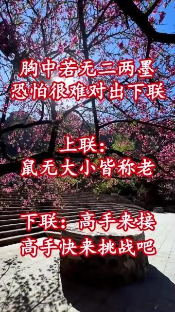 胸中没有点墨，

恐怕很难对出下联 

上联：鼠无大小皆称老

有请高手来续对联