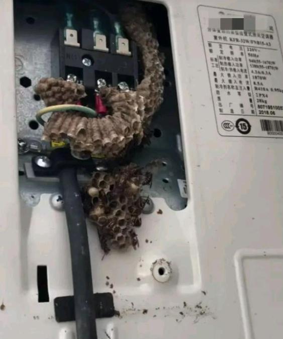 公司的空调坏了，找了师傅来维修，打开后盖之后愣住了，公司人都来围观，看傻了，这是