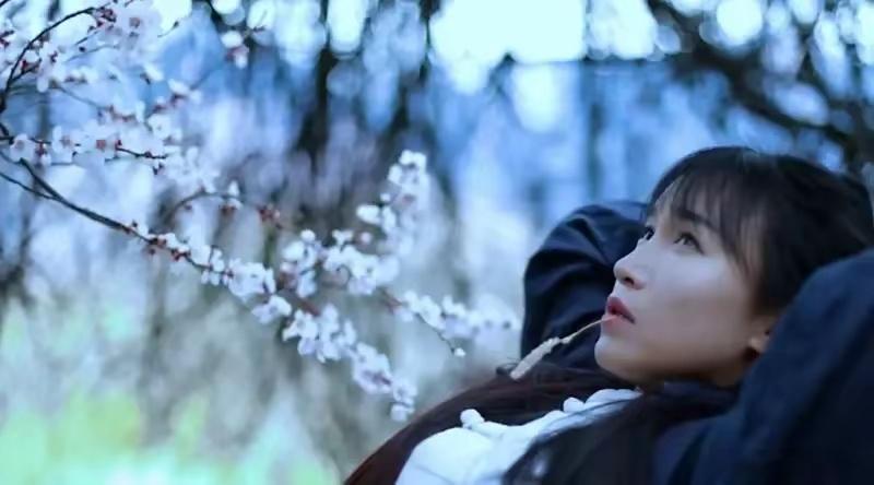 #李子柒回归#李子柒没有选择华丽的开场，而是依旧延续了那份质朴与纯粹 ​​​