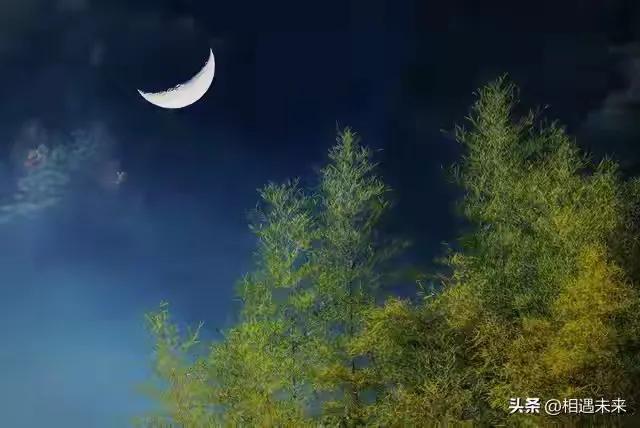 卧看新月悬林麓，
喜观太阳东海升。
横批：《新月与太阳》