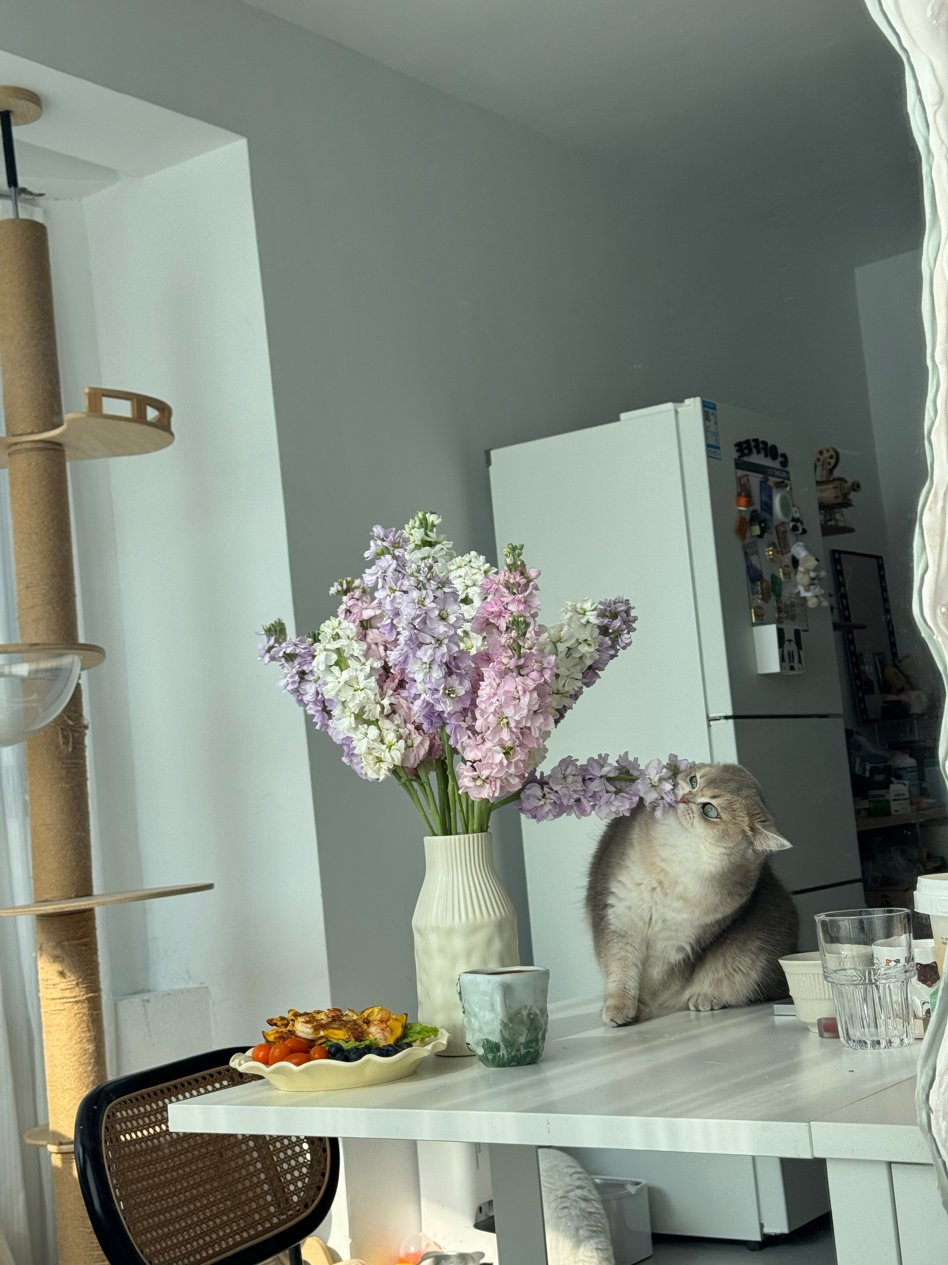 早上好啊朋友们(つω｀) 