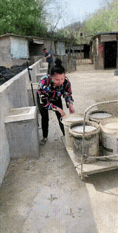 现在这年头，
猪吃的都比我好。