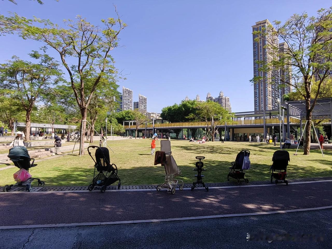 深圳人冬天怎样度周末，来香蜜公园瞅瞅。
——随拍于深圳福田区香蜜公园
拍摄美丽深