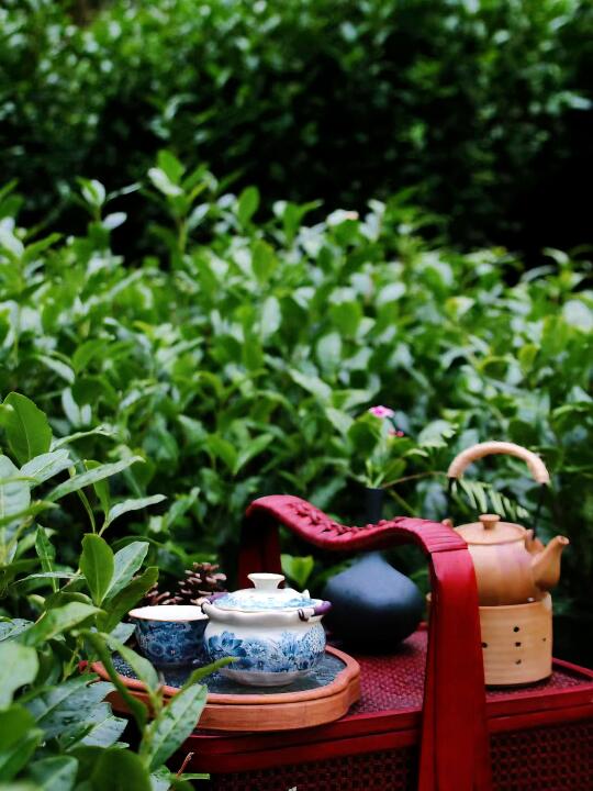 上春山居 在开化 饮一杯私汤煮的绿意🍃