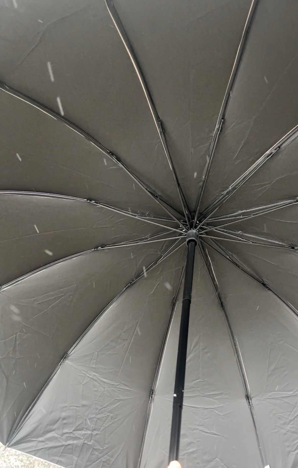 2026上海下雪了，南方的宝子们，你们那里下雪了吗？