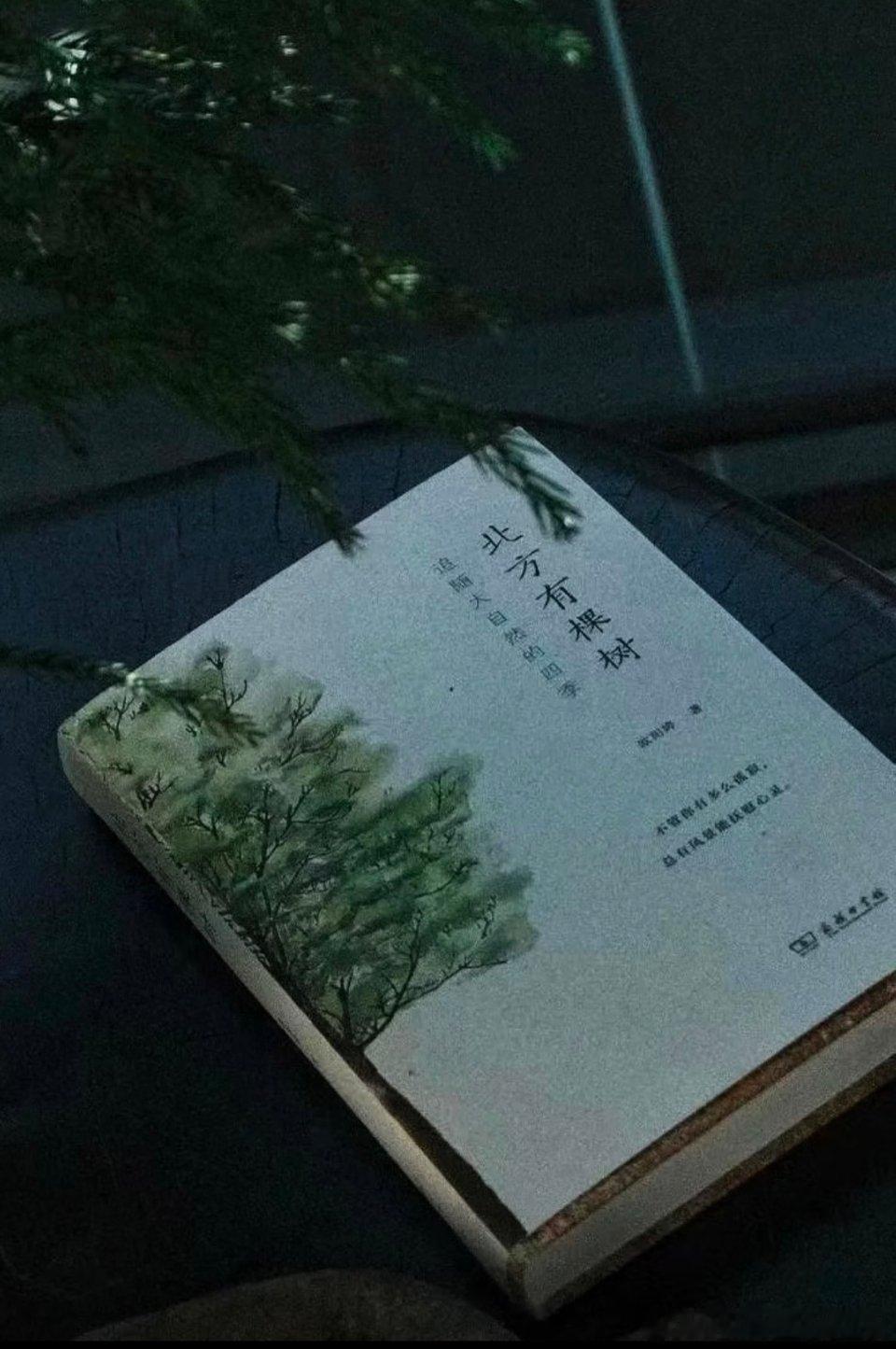 ——不管你有多么孤寂，总有风景能抚慰心灵欧阳婷的《北方有棵树》🌲是一本自然随笔